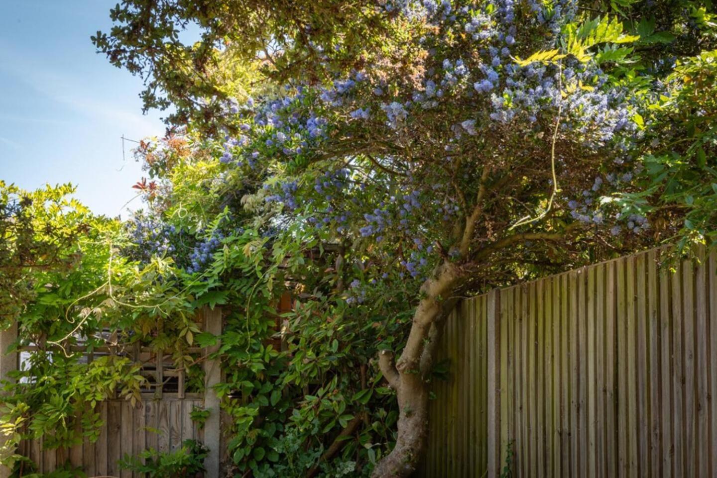 Eden Holiday home *